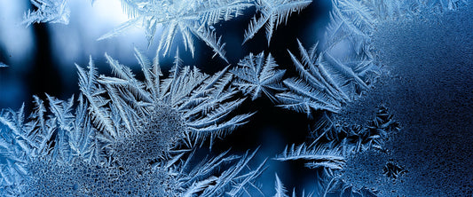 To Freeze or Not to Freeze
