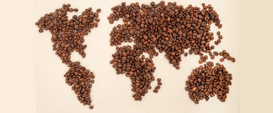 The Geographic Seasonality of Coffee