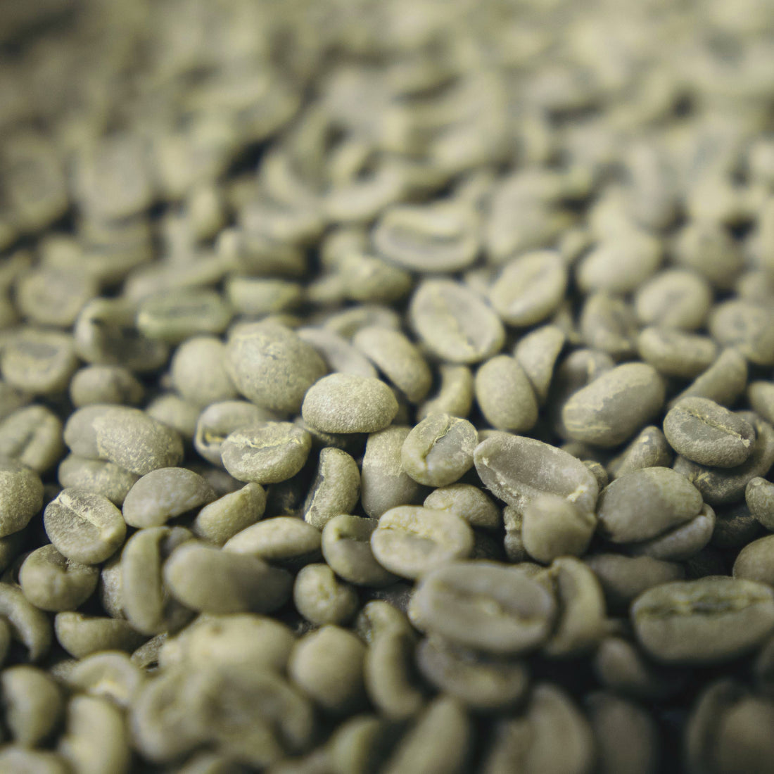 The Skinny on Green Coffee Beans